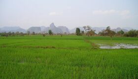 Experience Laos’ heritage with visa-prepared tours